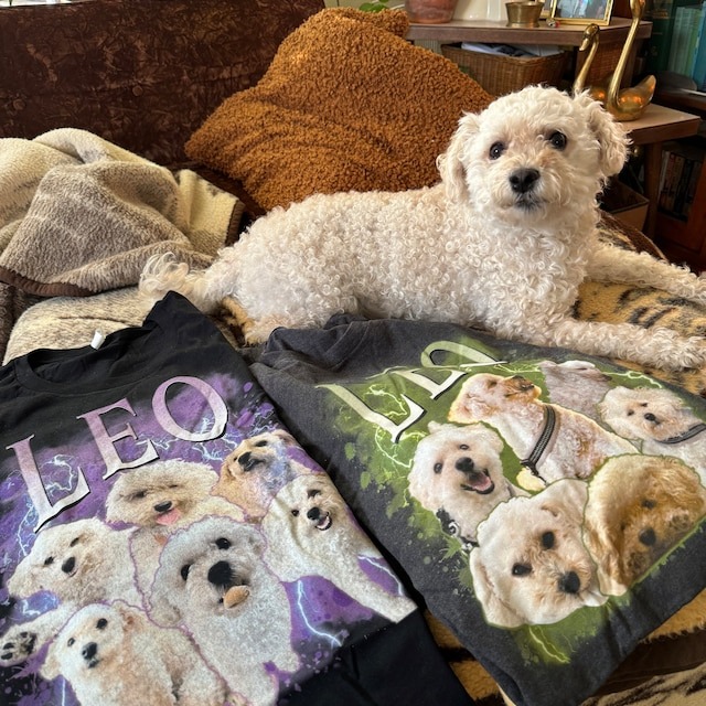 Custom Pet Bootleg Rap Tee  --> | FREE SHIPPING | photo review