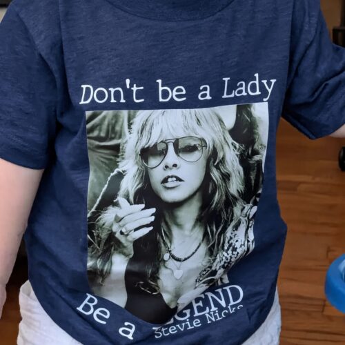 Stevie Nicks Rock Tee, Back To The Gipsy Merch, Stevie Nicks Shirt photo review